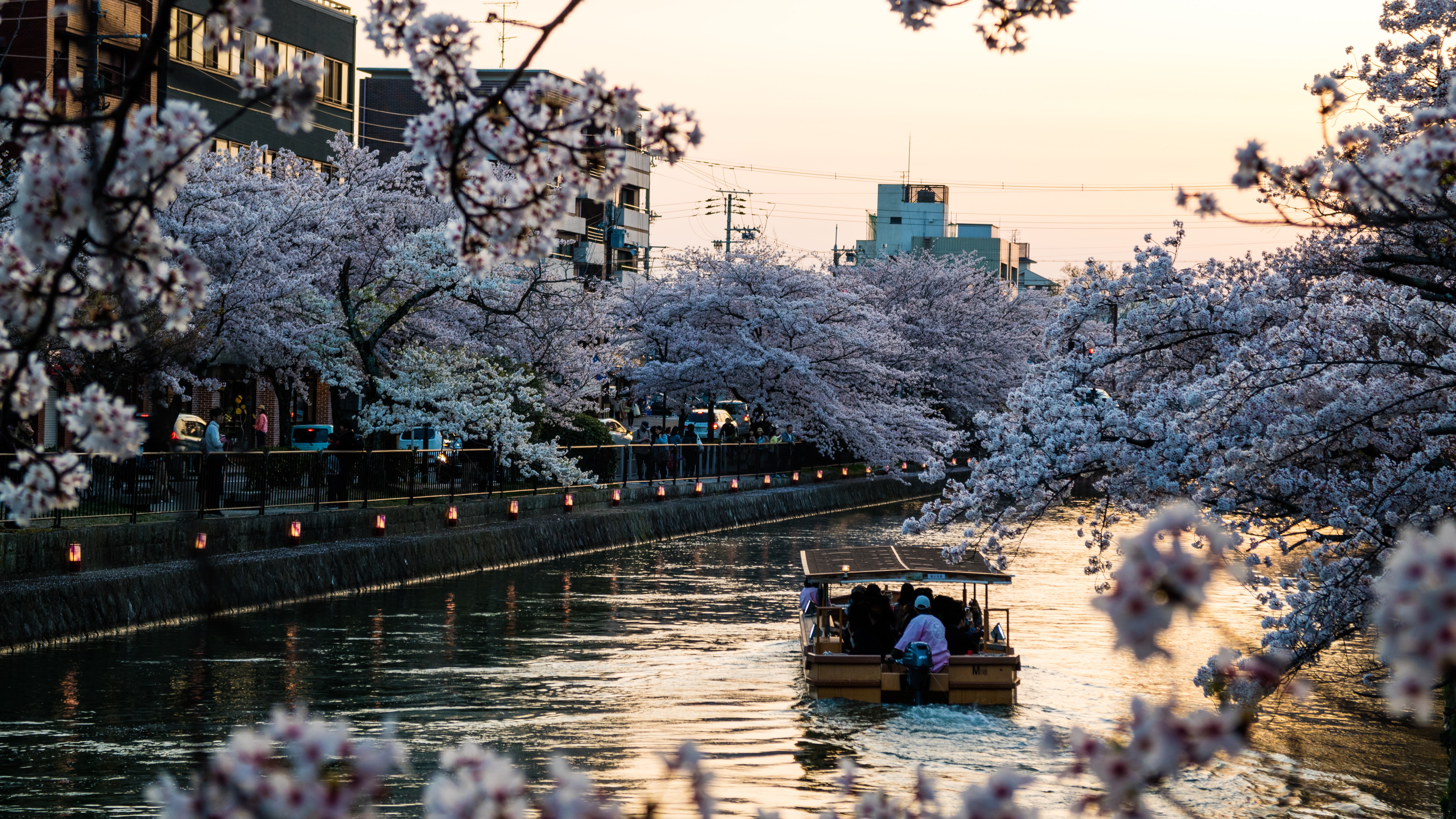 Kyoto, Japan